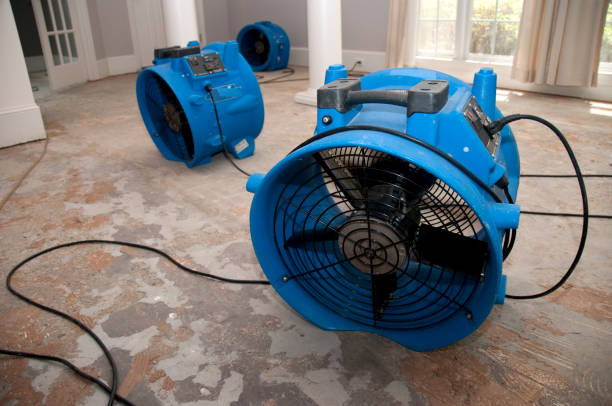 Best Water damage cleanup near me  in Tecumseh, OK