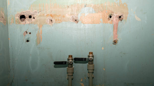 Best Water damage restoration specialists  in Tecumseh, OK