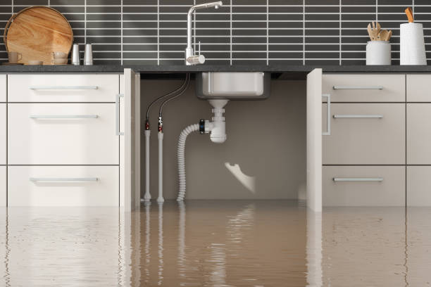 Best Ceiling water damage repair  in Tecumseh, OK