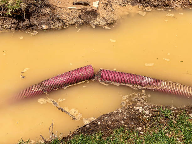 Best Flood damage cleanup  in Tecumseh, OK